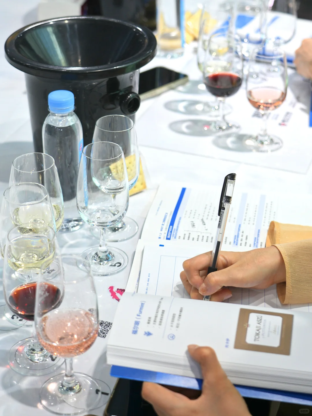 WSET 2级?海口班?一起快乐持证喝8+1