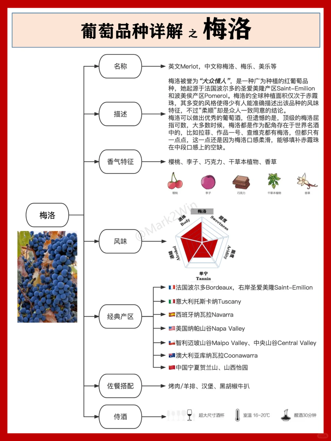 葡萄品種系列 | 世界八大葡萄風(fēng)味品種