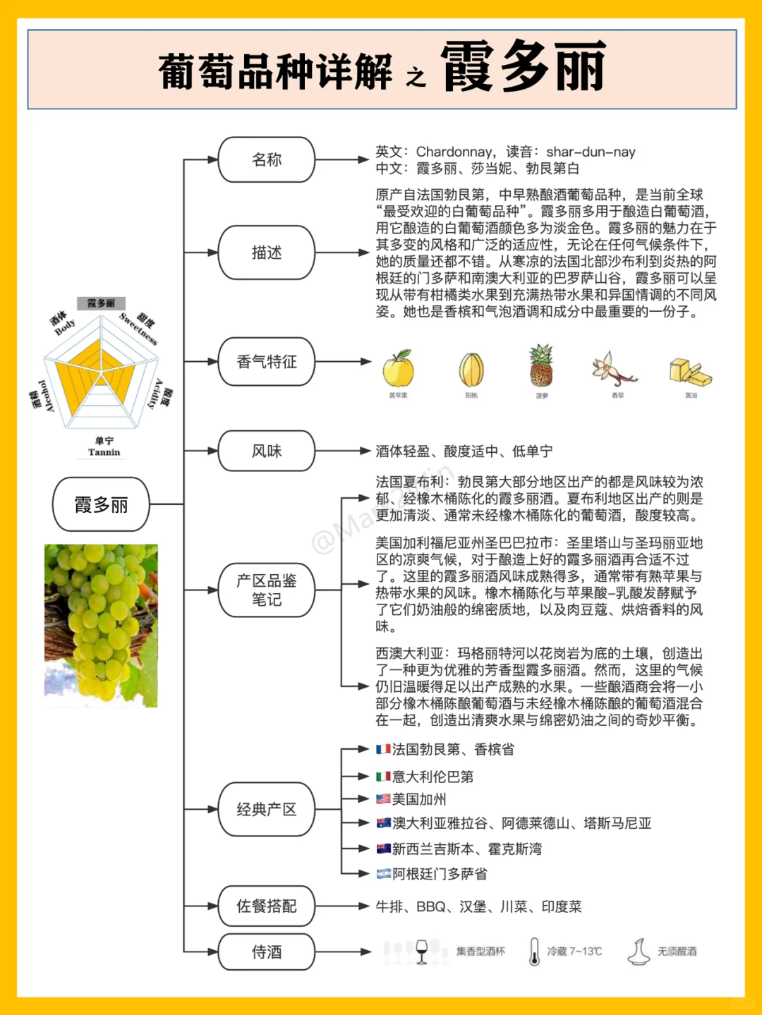 葡萄品種系列 | 世界八大葡萄風(fēng)味品種