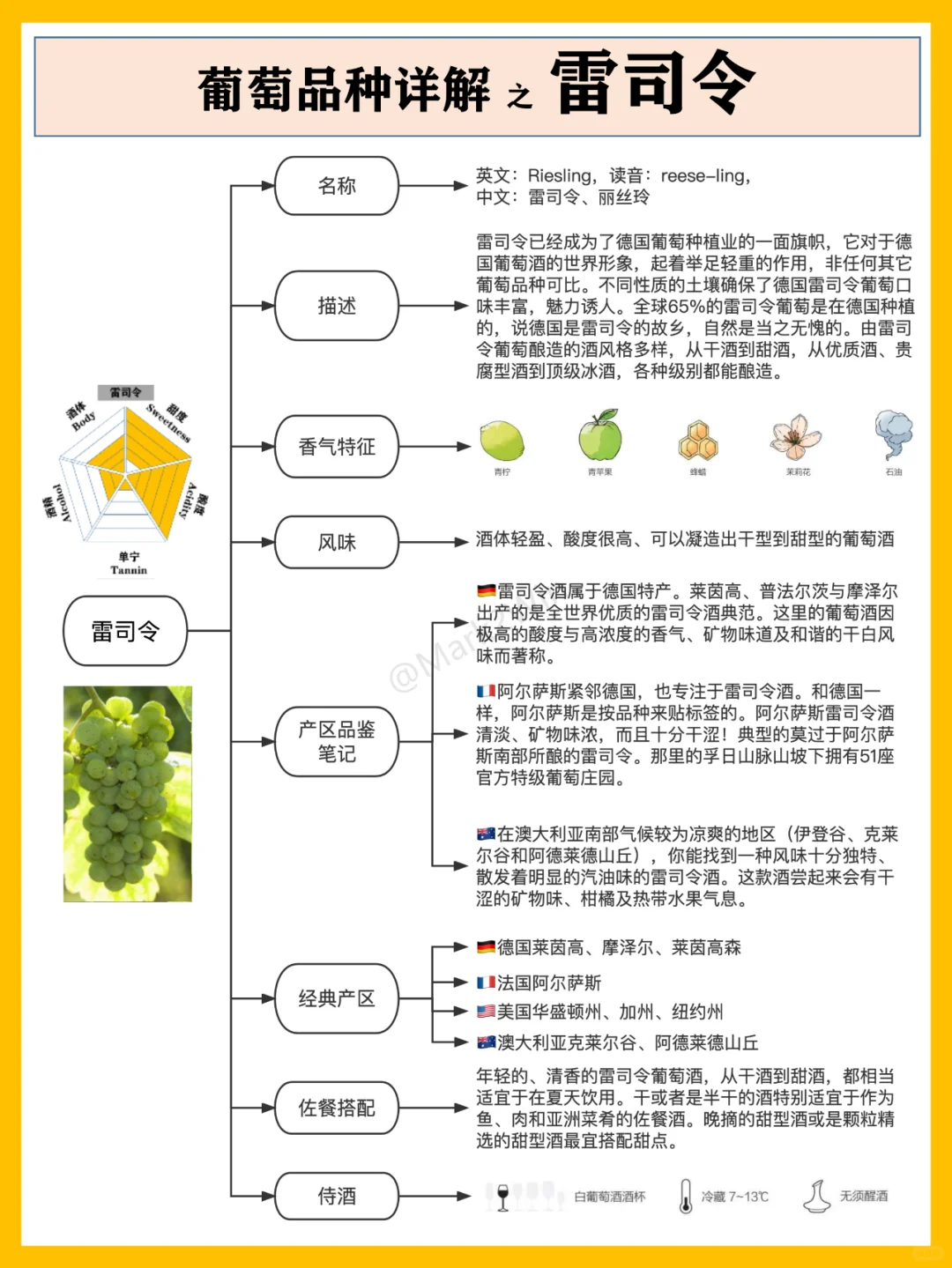 葡萄品種系列 | 世界八大葡萄風(fēng)味品種