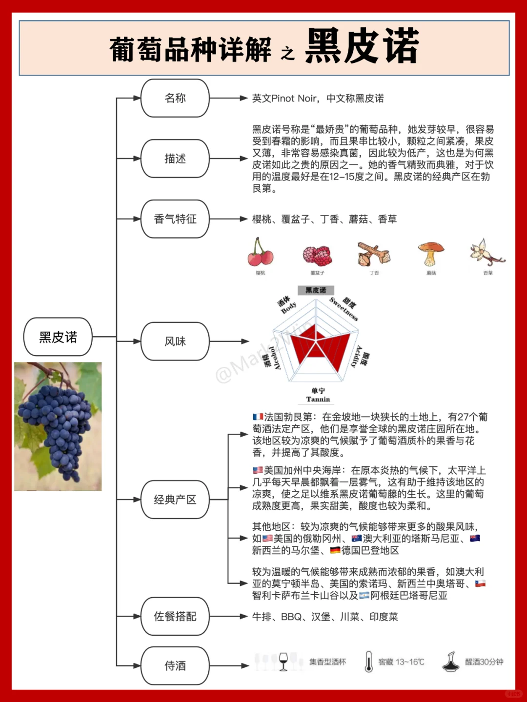 葡萄品種系列 | 世界八大葡萄風(fēng)味品種