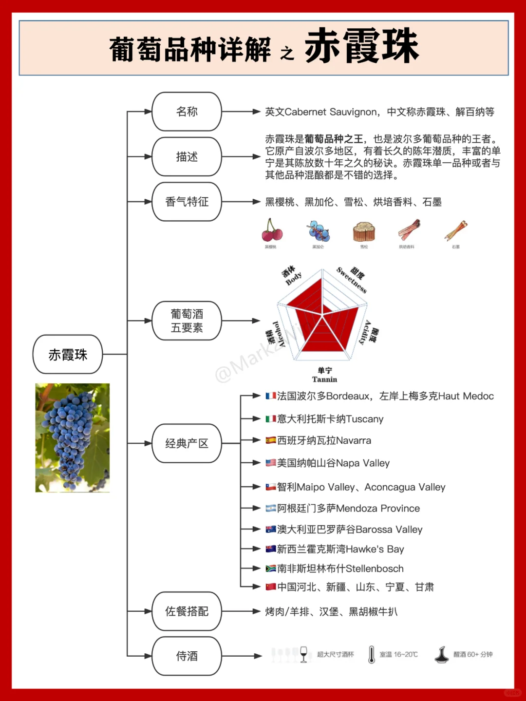 葡萄品種系列 | 世界八大葡萄風(fēng)味品種