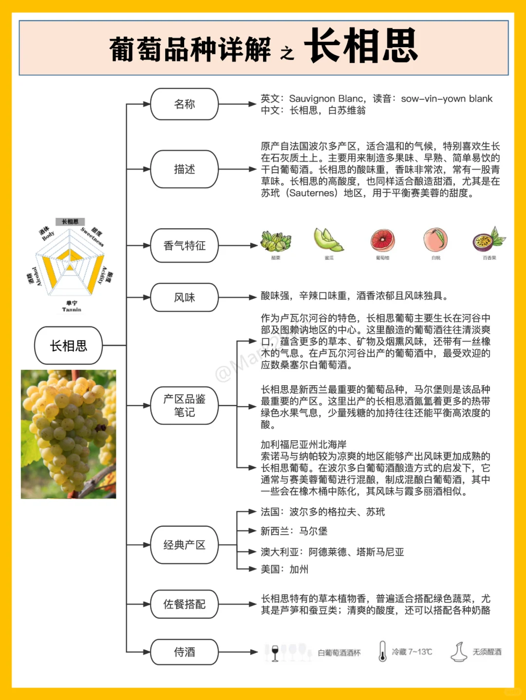 葡萄品種系列 | 世界八大葡萄風(fēng)味品種