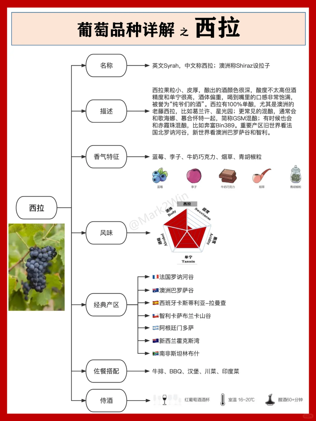 葡萄品種系列 | 世界八大葡萄風(fēng)味品種