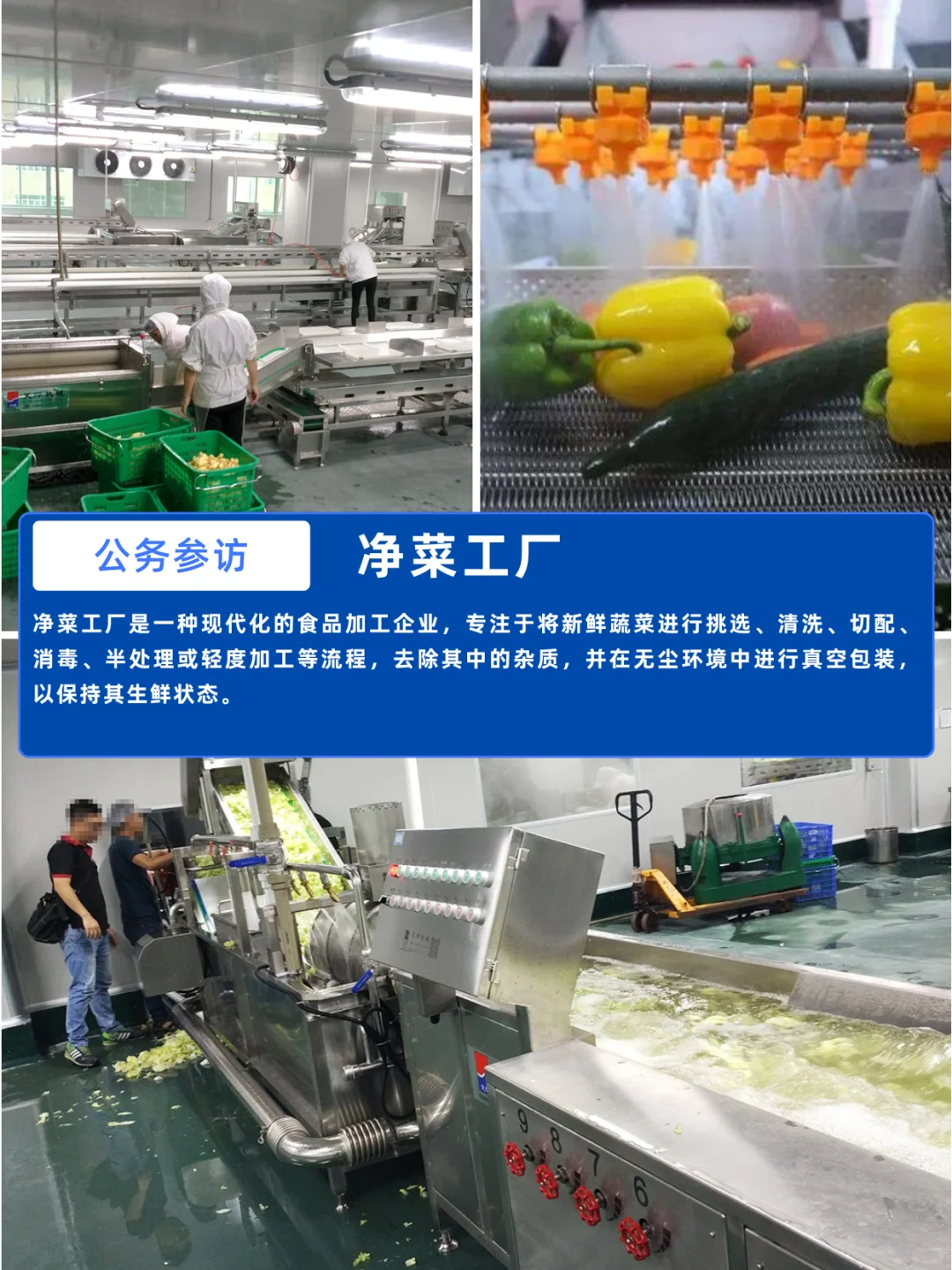 案例分享 | 日本预制菜行业商务考察