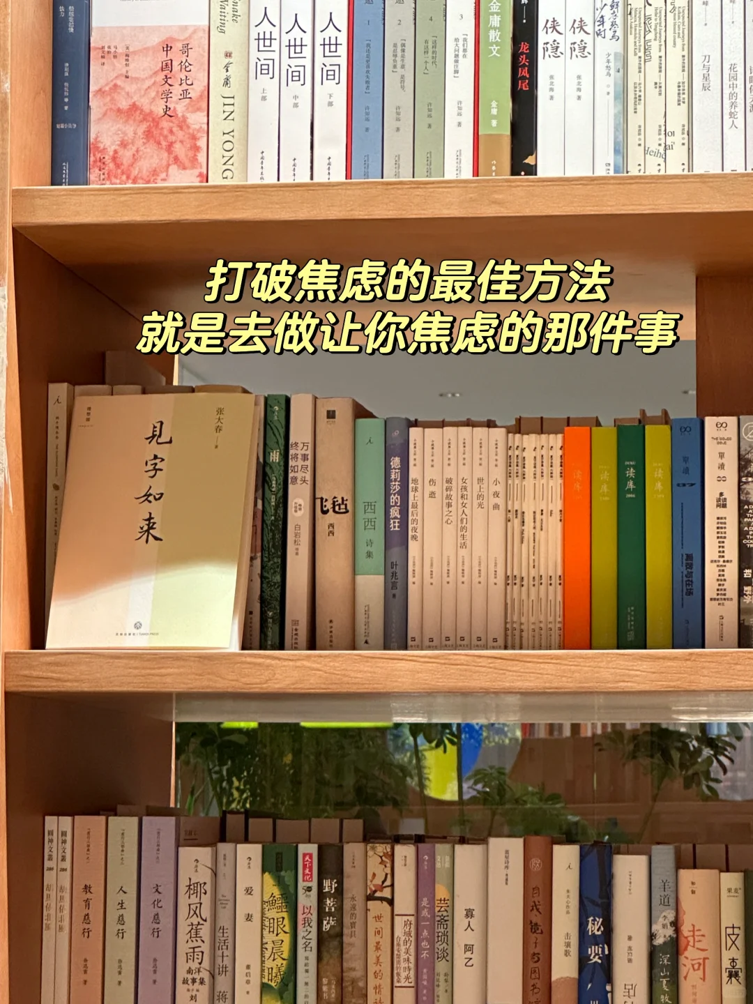 真心建议找工作不要偷懒，停下来更难启动