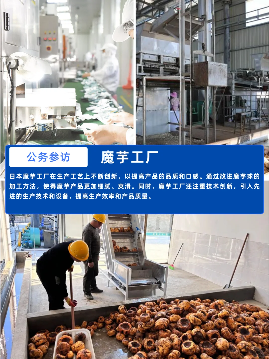 案例分享 | 日本预制菜行业商务考察