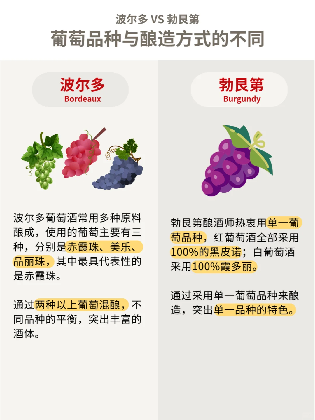 波爾多VS勃艮第蚯根，全面對(duì)比大揭秘秘?