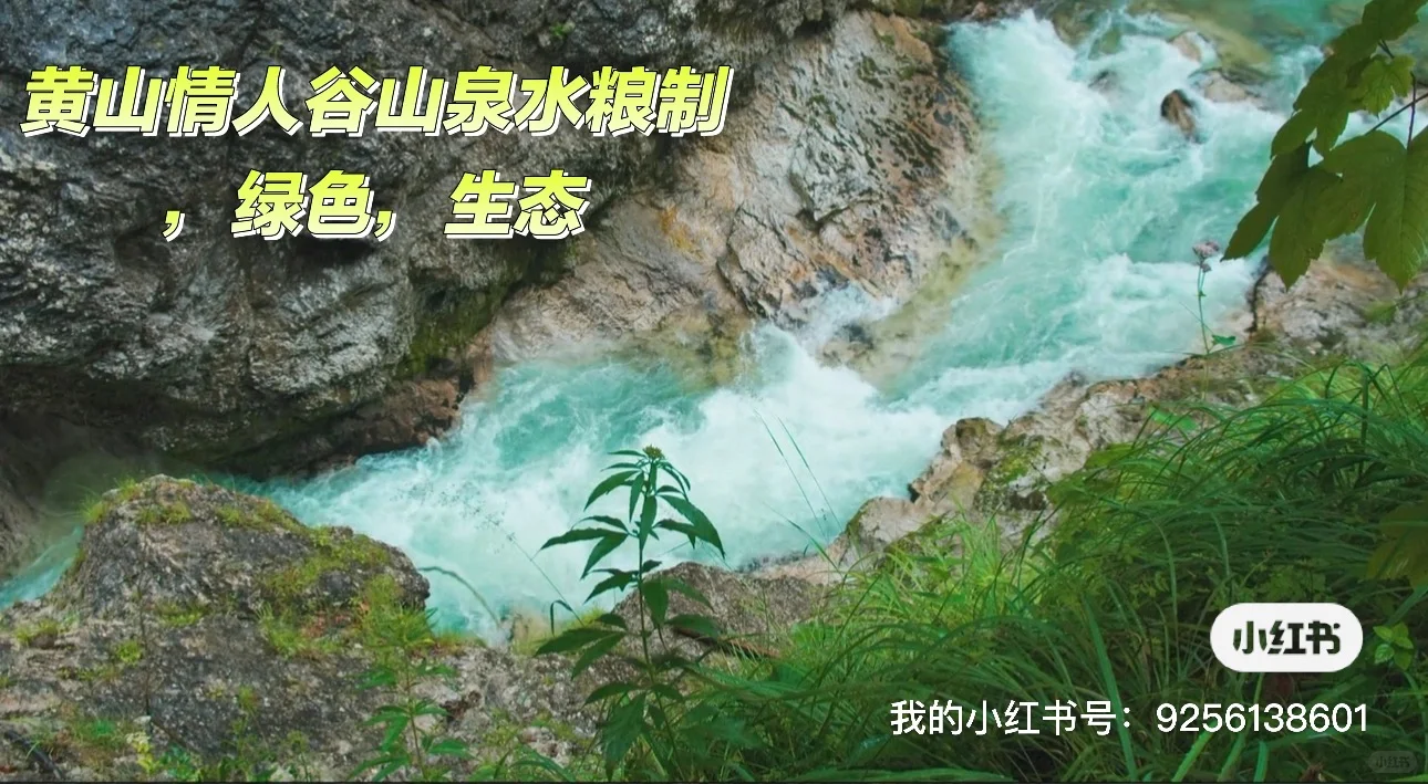 《如何选一瓶不伤肝的白酒？》一定要知道