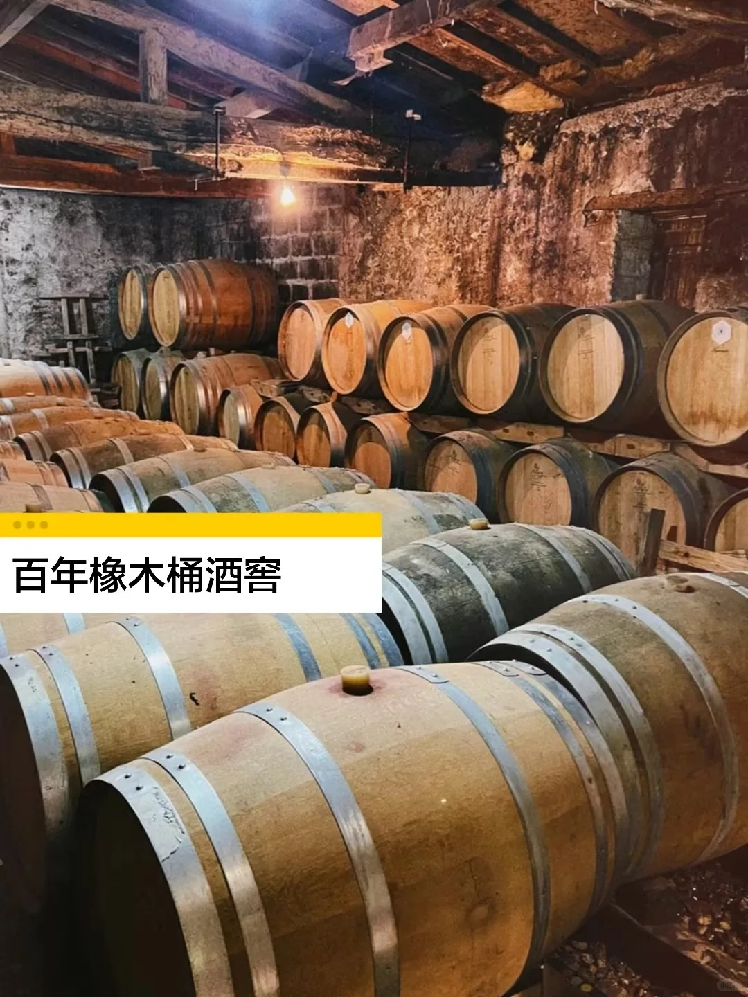 法国??酒庄溯源｜揭秘顶级葡萄酒的诞生地