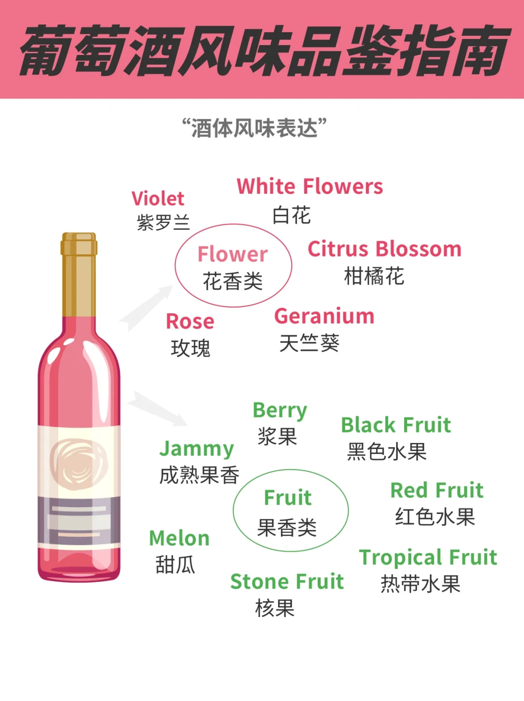 只需3分钟，葡萄酒新手入门，这一篇就够了❗️