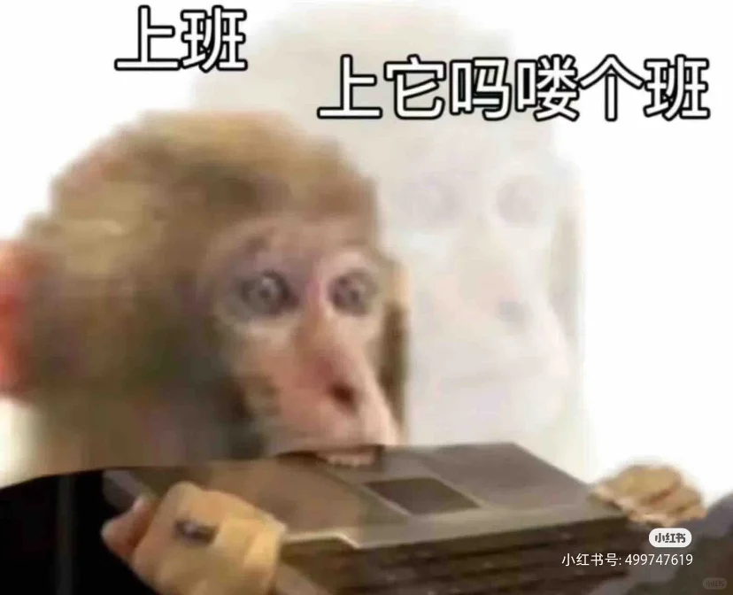 葡萄酒行业转行能去做什么呢？