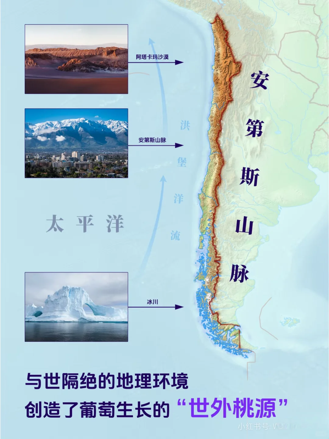 中粮名庄荟助力智利葡萄酒中国市场扩张