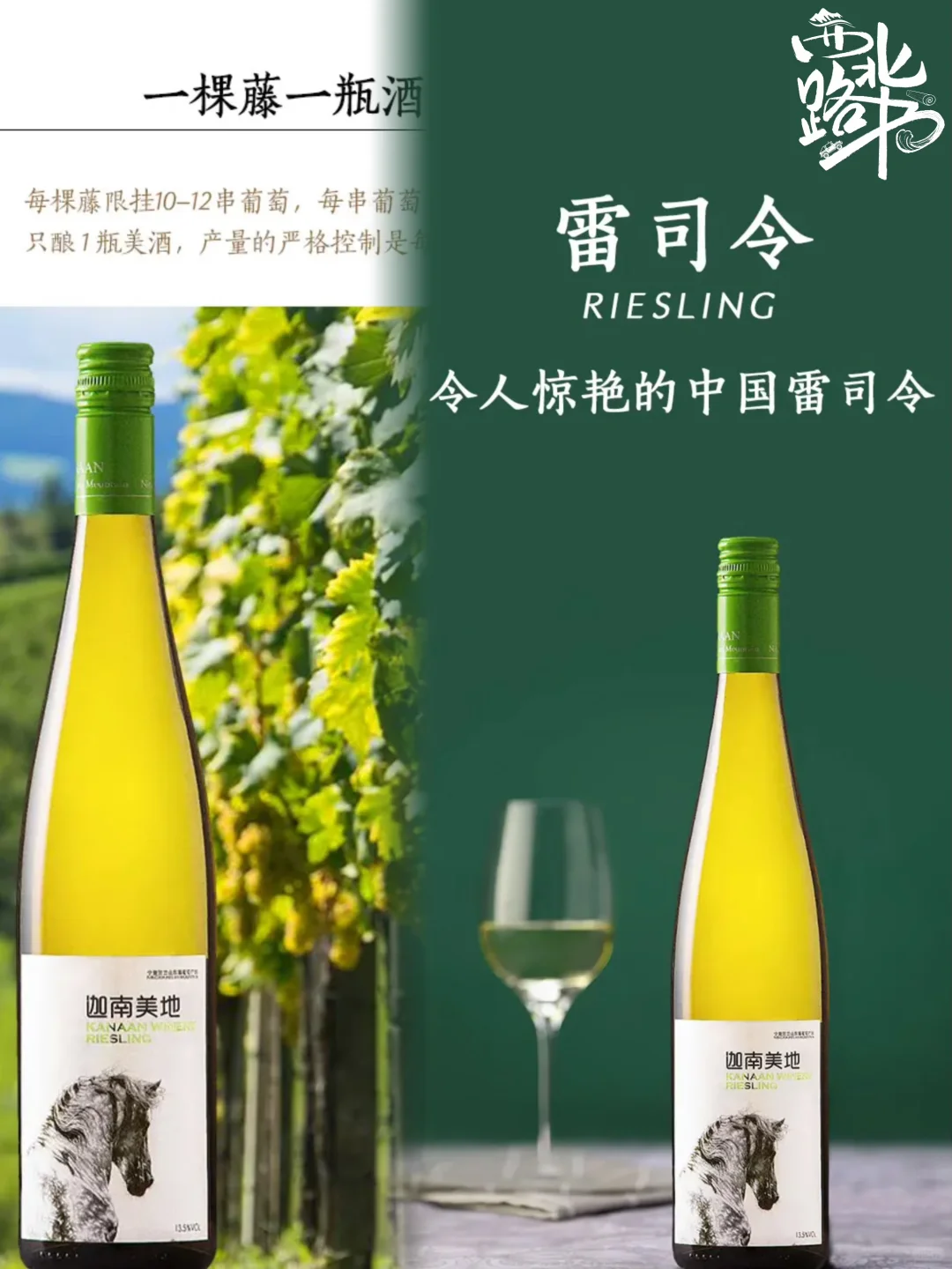 我敢说这是女士最爱葡萄9️⃣天?板