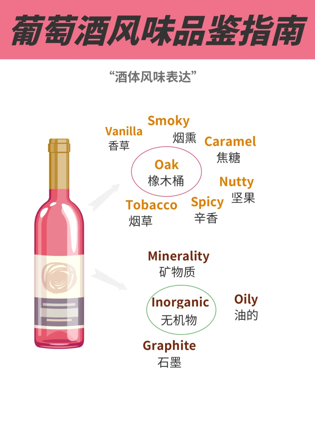 只需3分钟，葡萄酒新手入门，这一篇就够了❗️