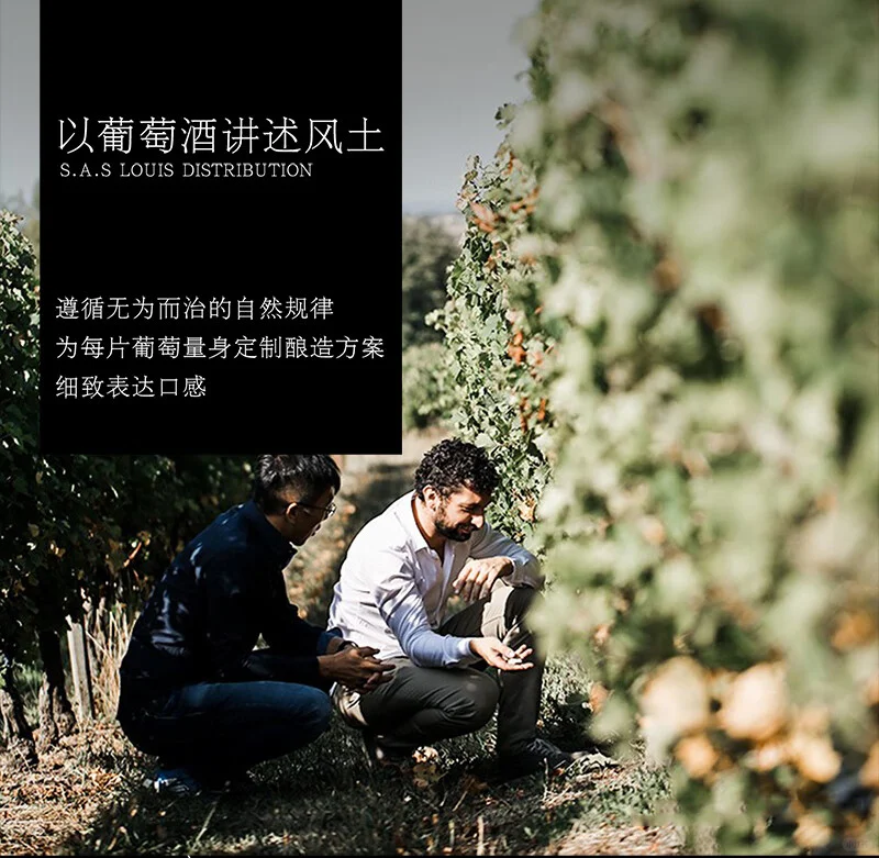 雷盛304?葡萄酒