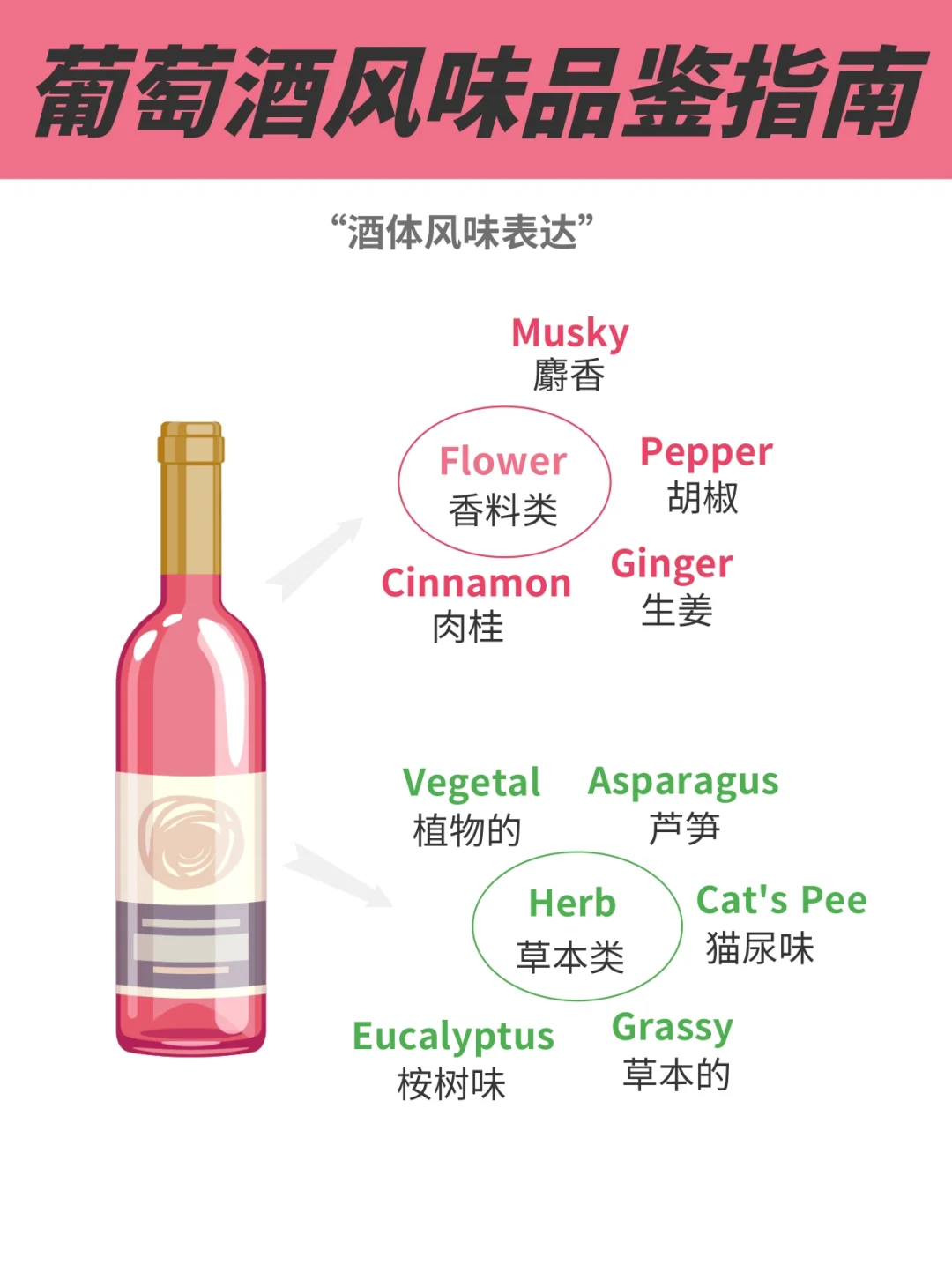 只需3分钟，葡萄酒新手入门，这一篇就够了❗️