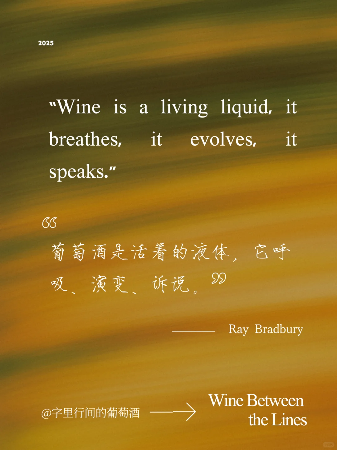 字里行间的葡萄酒| Between The Lines