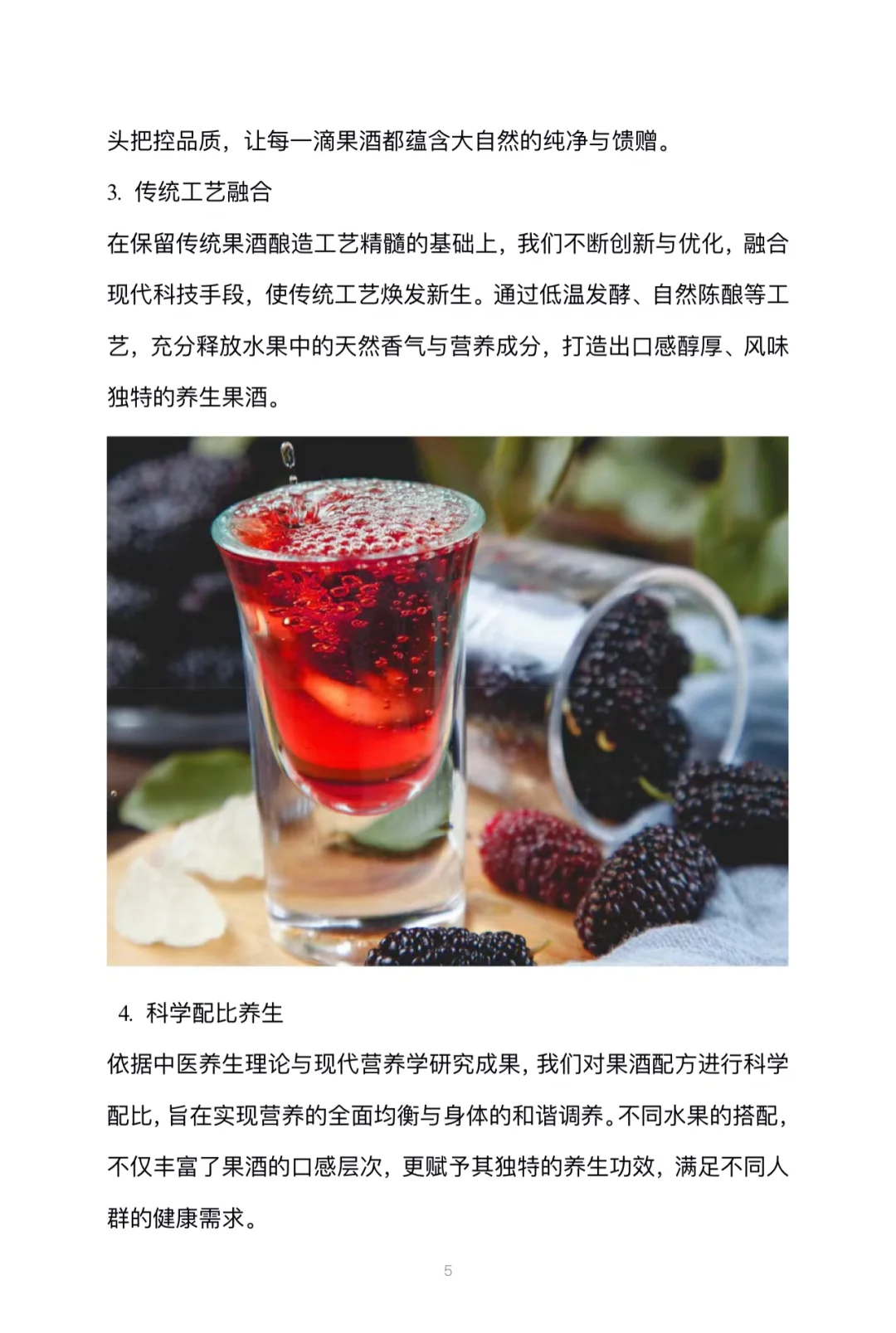 养生果酒创业计划书完整版Word➕PPT