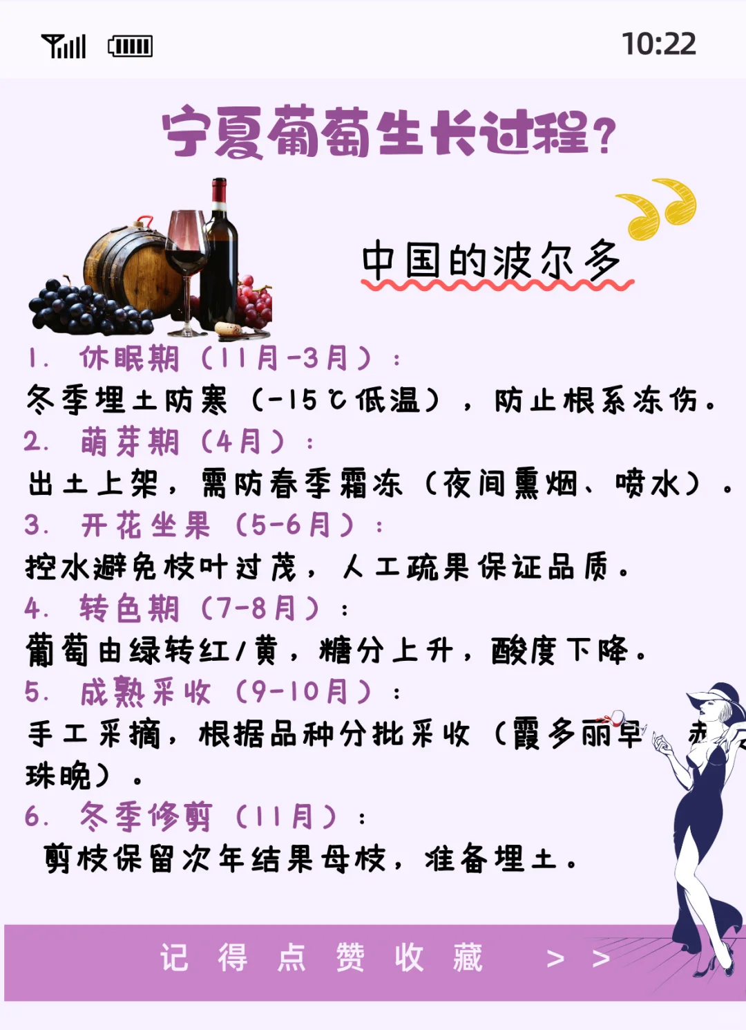 被遗忘的西北小城，竟是全球葡萄酒冠军？