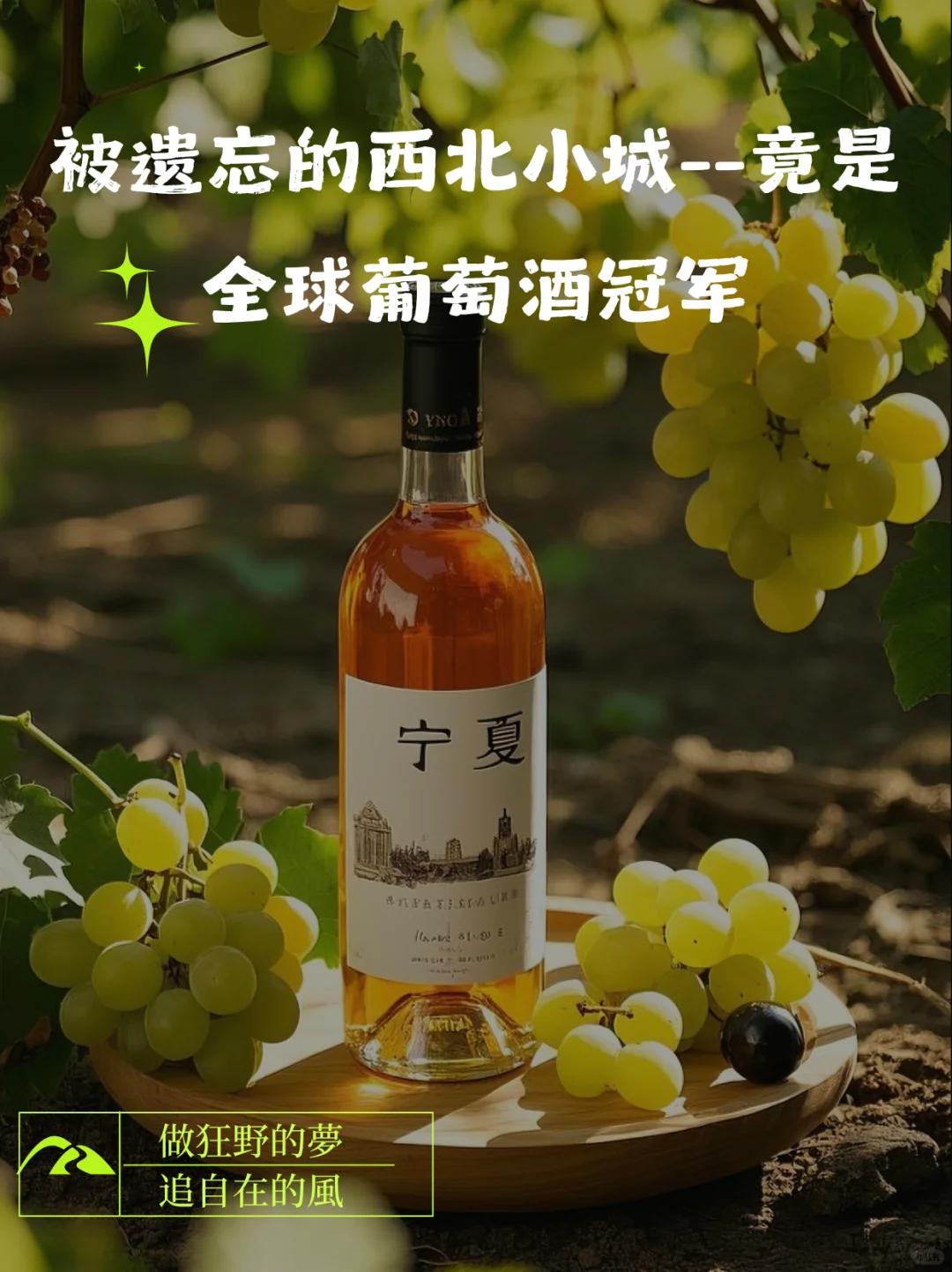 被遗忘的西北小城，竟是全球葡萄酒冠军？