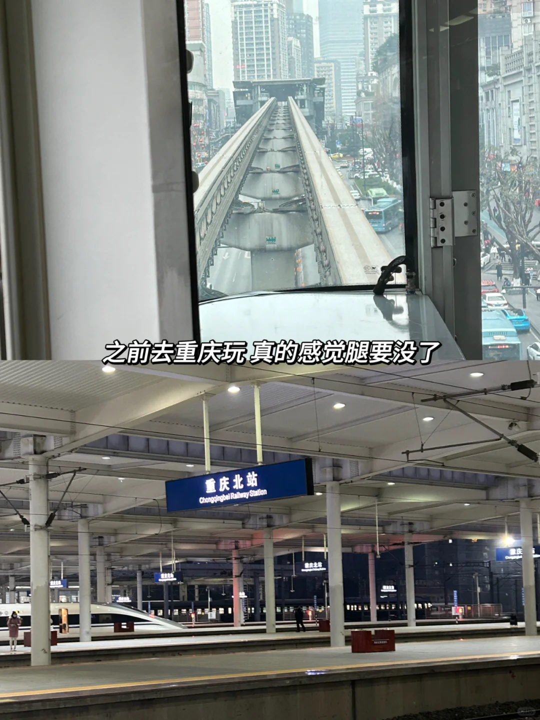 宠物外企真的太香了！感觉可以待一辈子