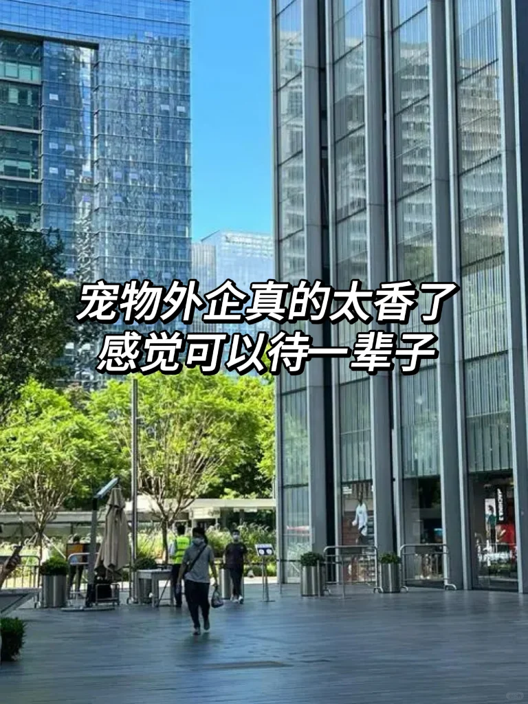 宠物外企真的太香了！感觉可以待一辈子