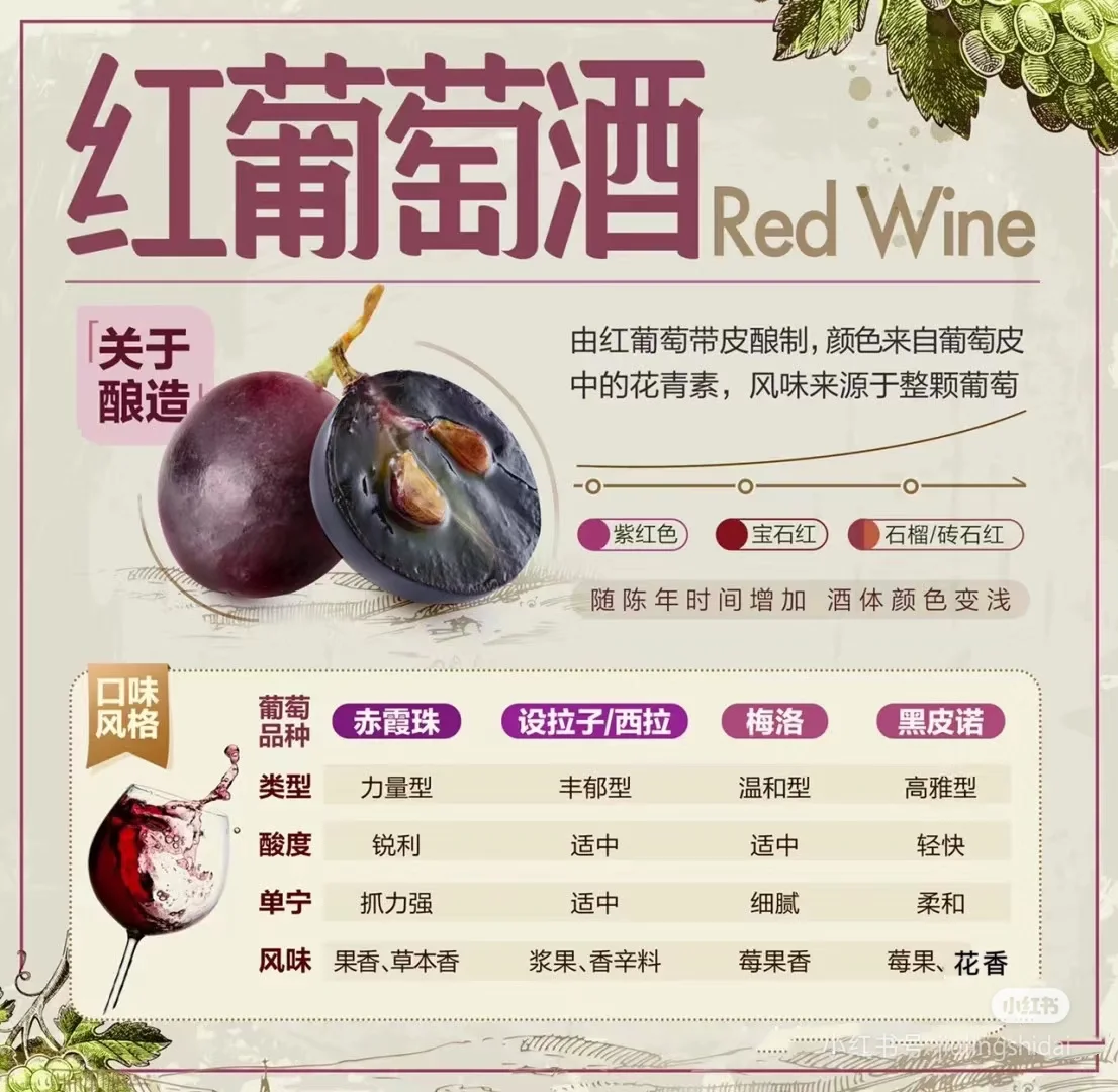 葡萄酒新手看过来???