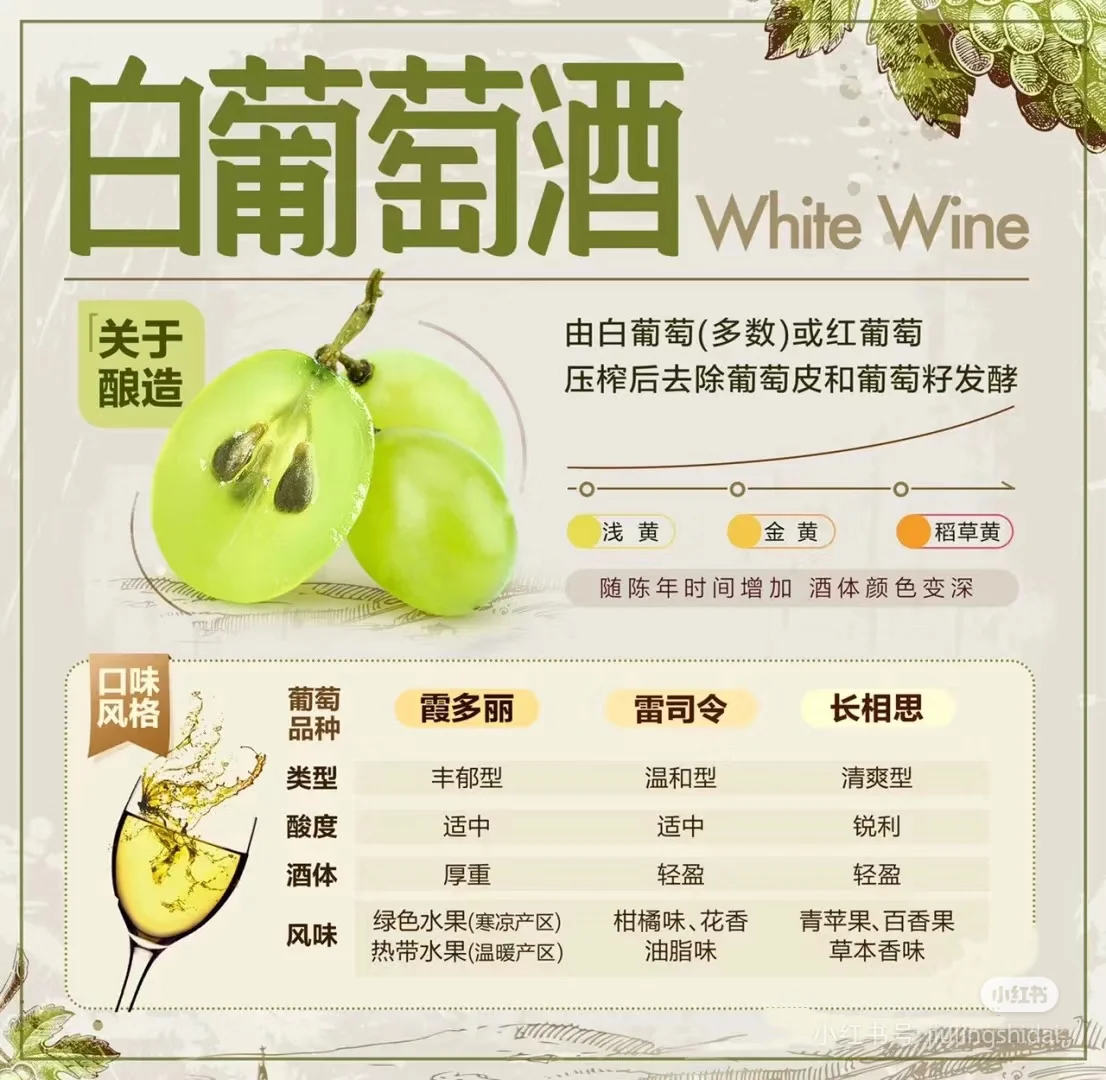 葡萄酒新手看过来???