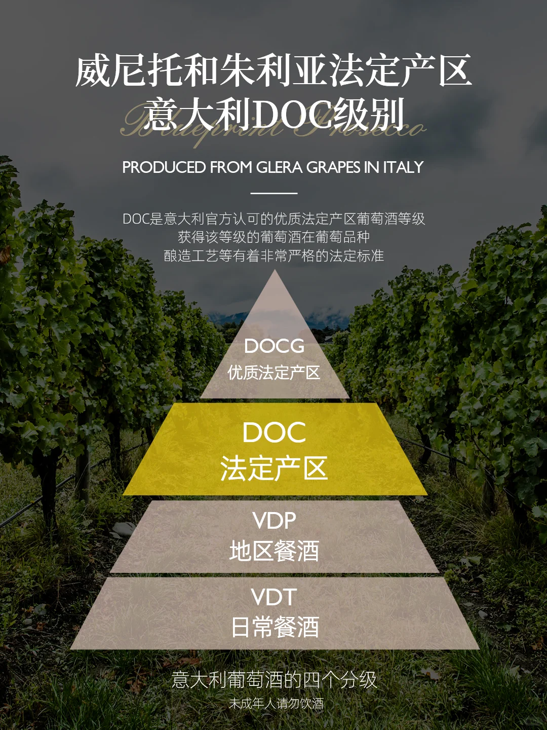 绝！Waitrose 普洛赛克气泡酒来袭?