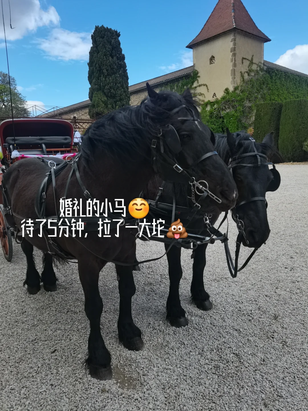 给大家推荐一个??找实习网站