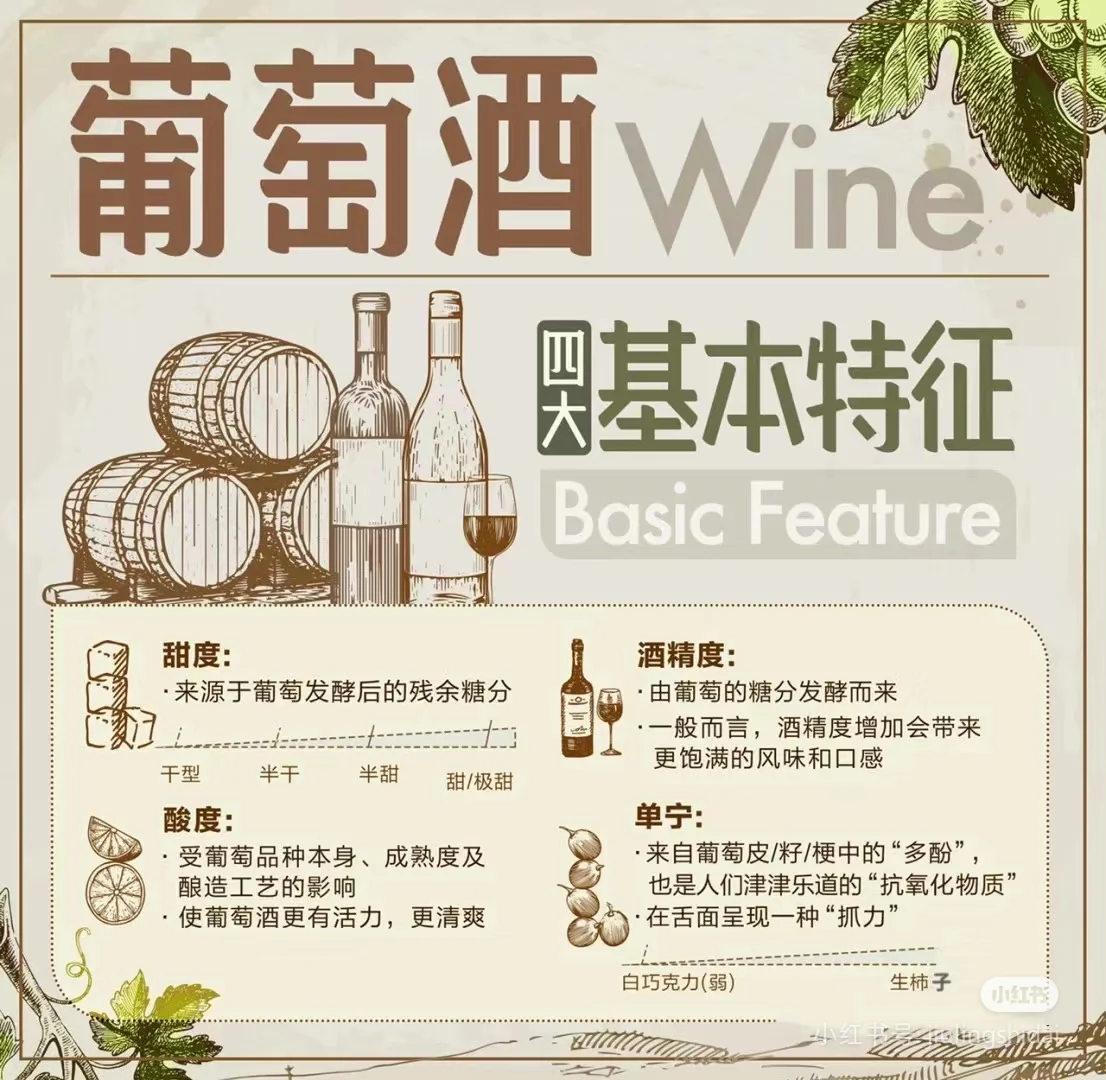 葡萄酒新手看过来???