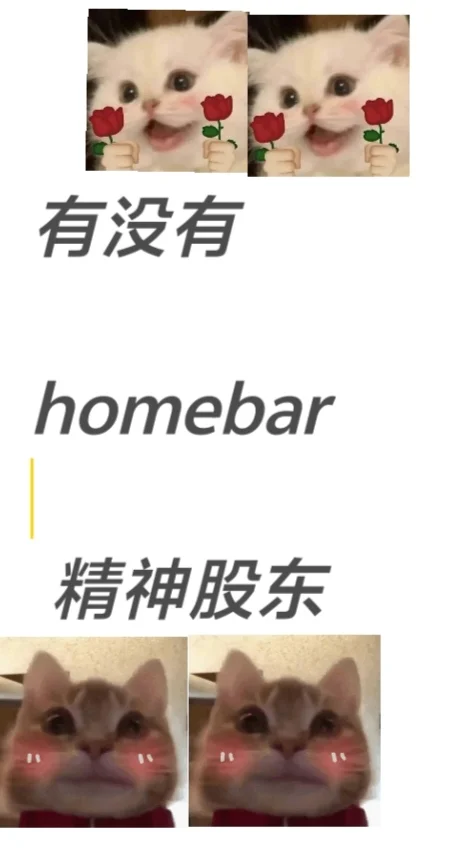 来几个精神股东吧