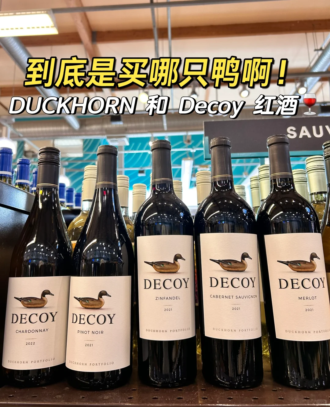 美国最名声大噪的?鸭子到底是买哪种啊？