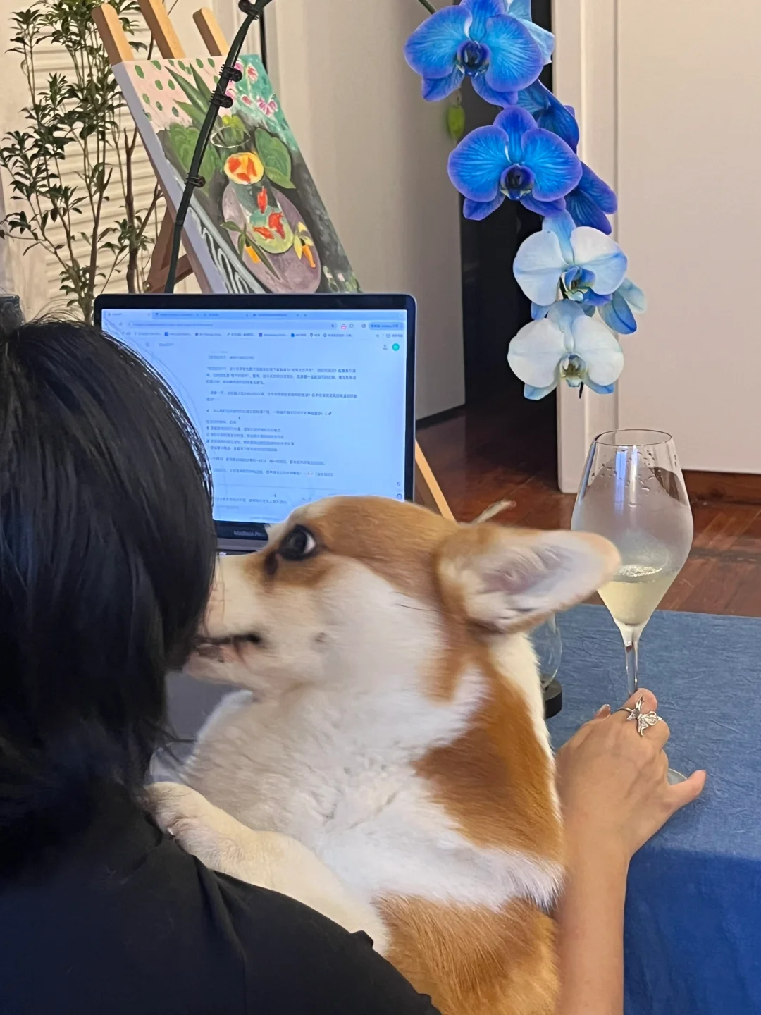 朋友问：88块的雷司令有必要好喝成这样吗？