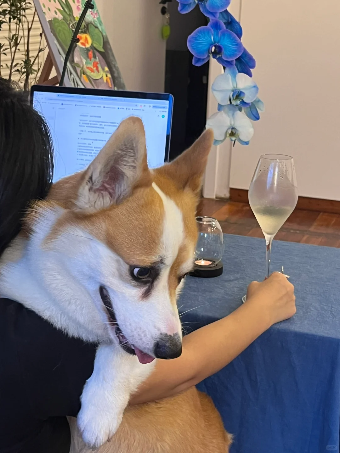 朋友问：88块的雷司令有必要好喝成这样吗？