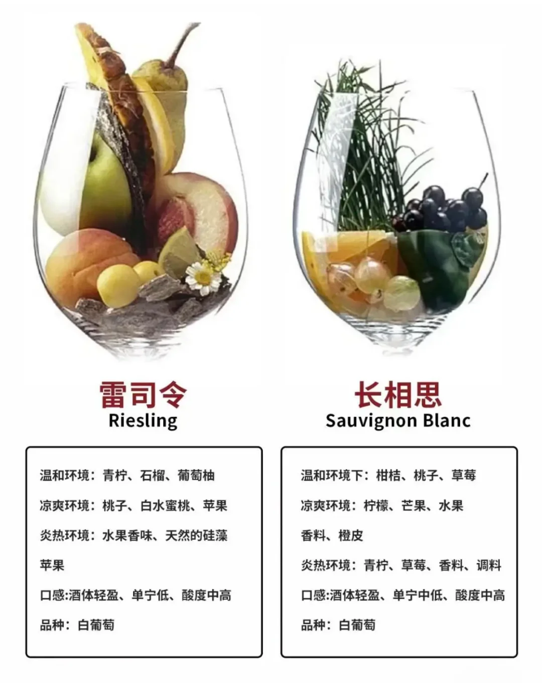葡萄酒风味大揭秘！八大香型一网打尽?