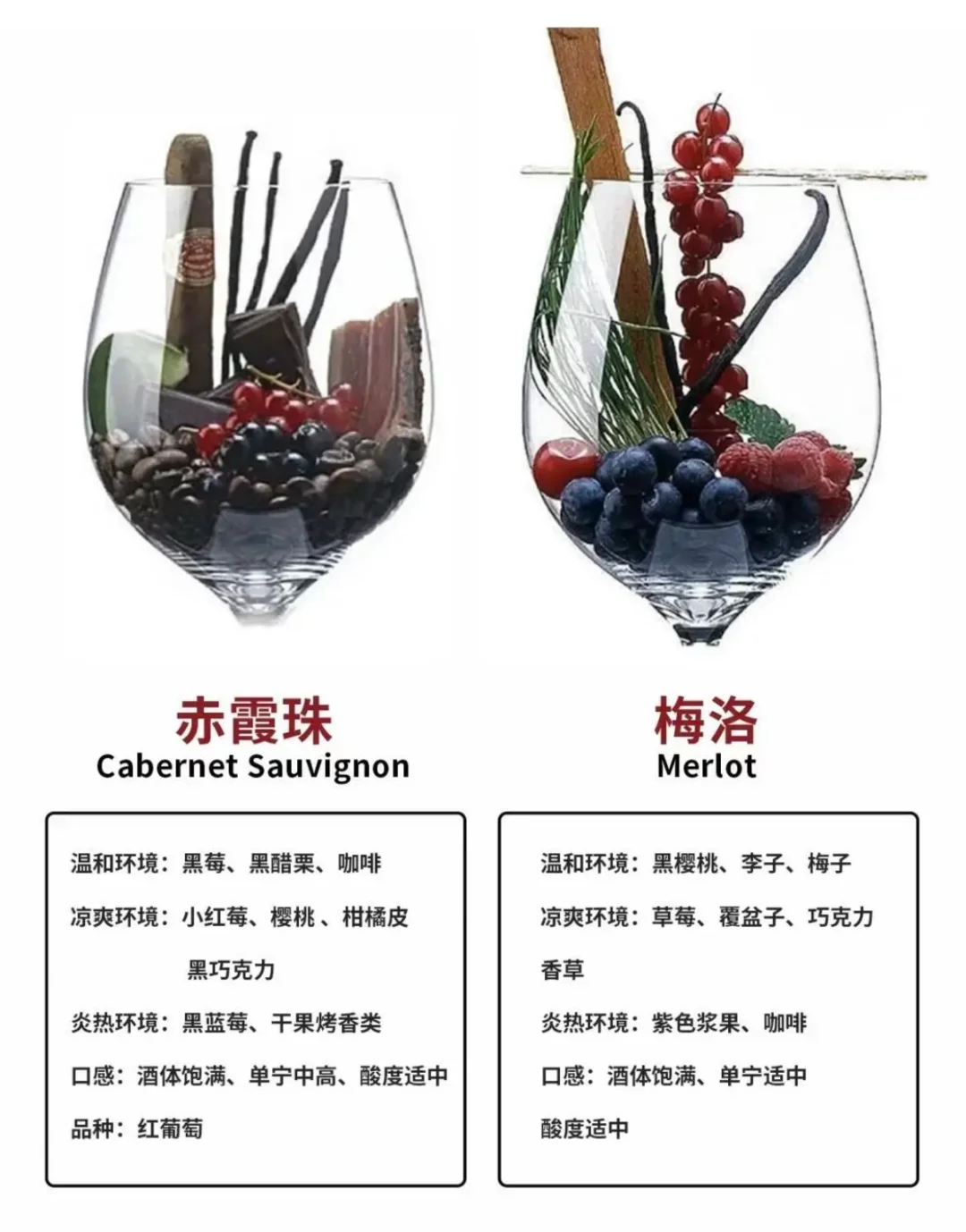 葡萄酒风味大揭秘！八大香型一网打尽?