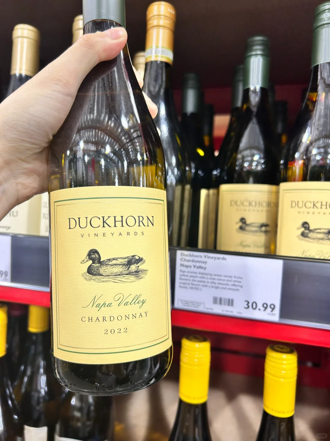 美国最名声大噪的?鸭子到底是买哪种啊？