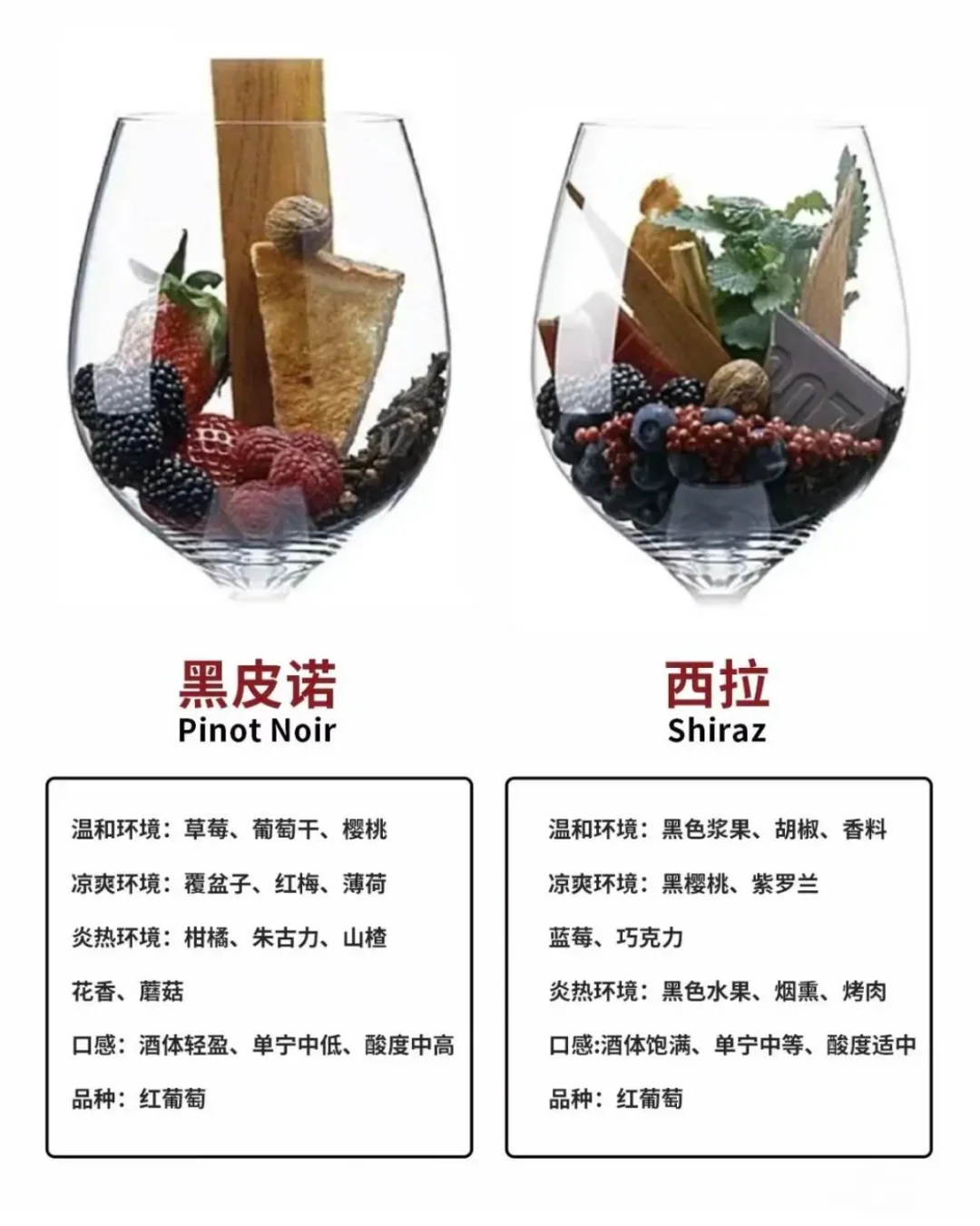葡萄酒风味大揭秘！八大香型一网打尽?