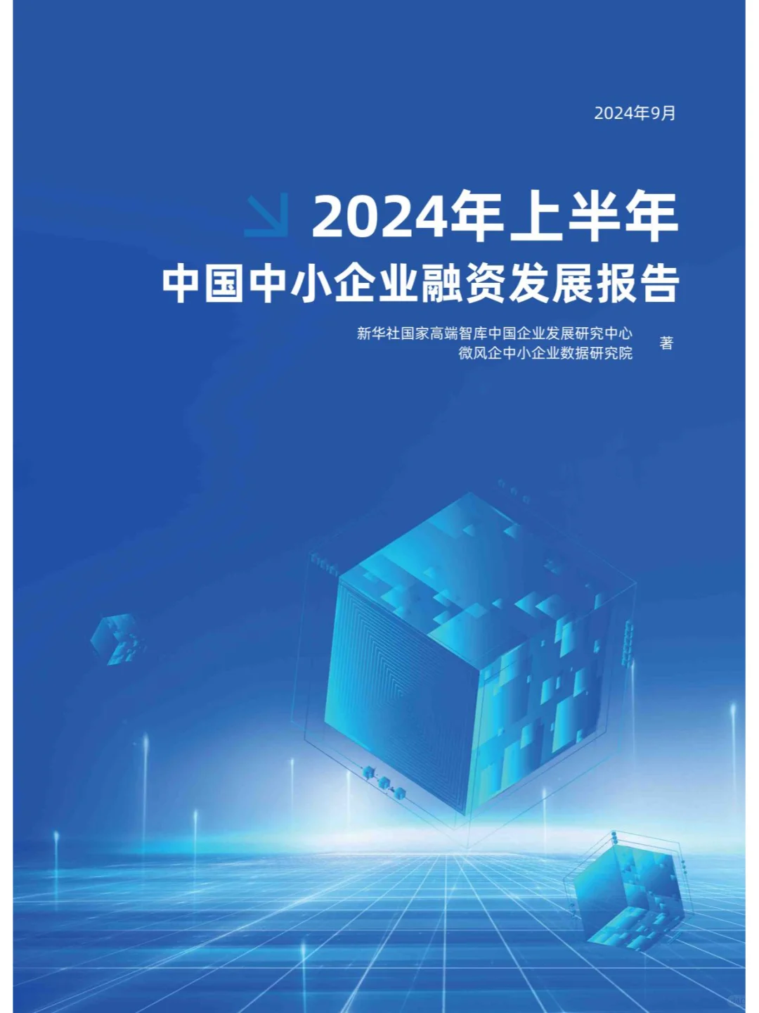 2024年上半年中国中小企业融资发展报告