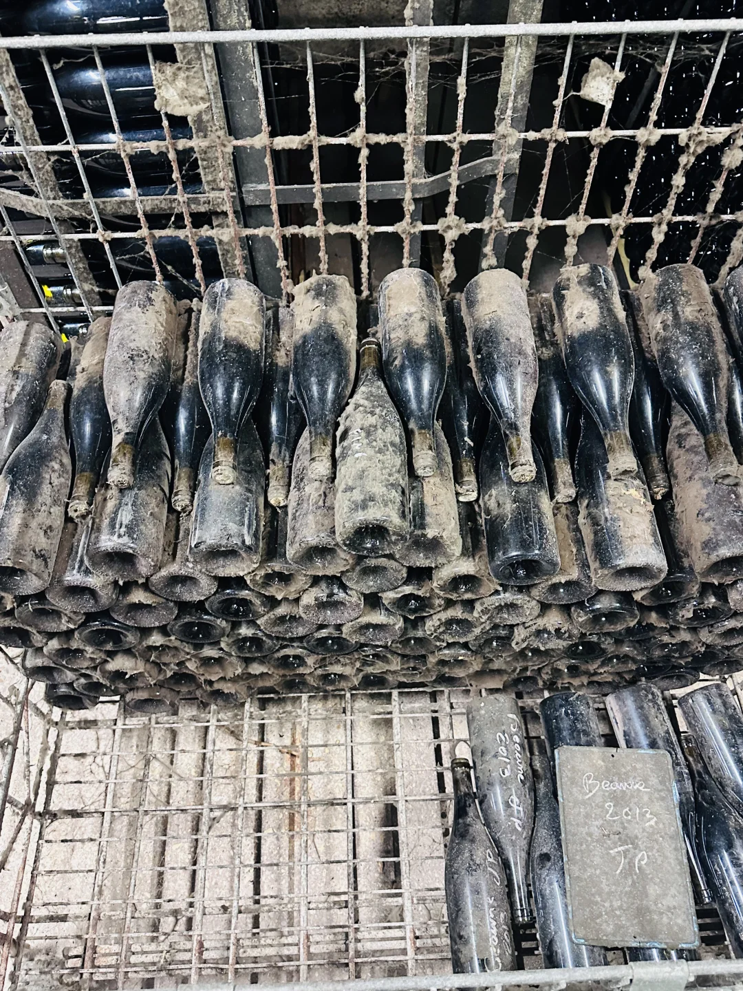酒庄的酒居然发霉了，还能喝吗？