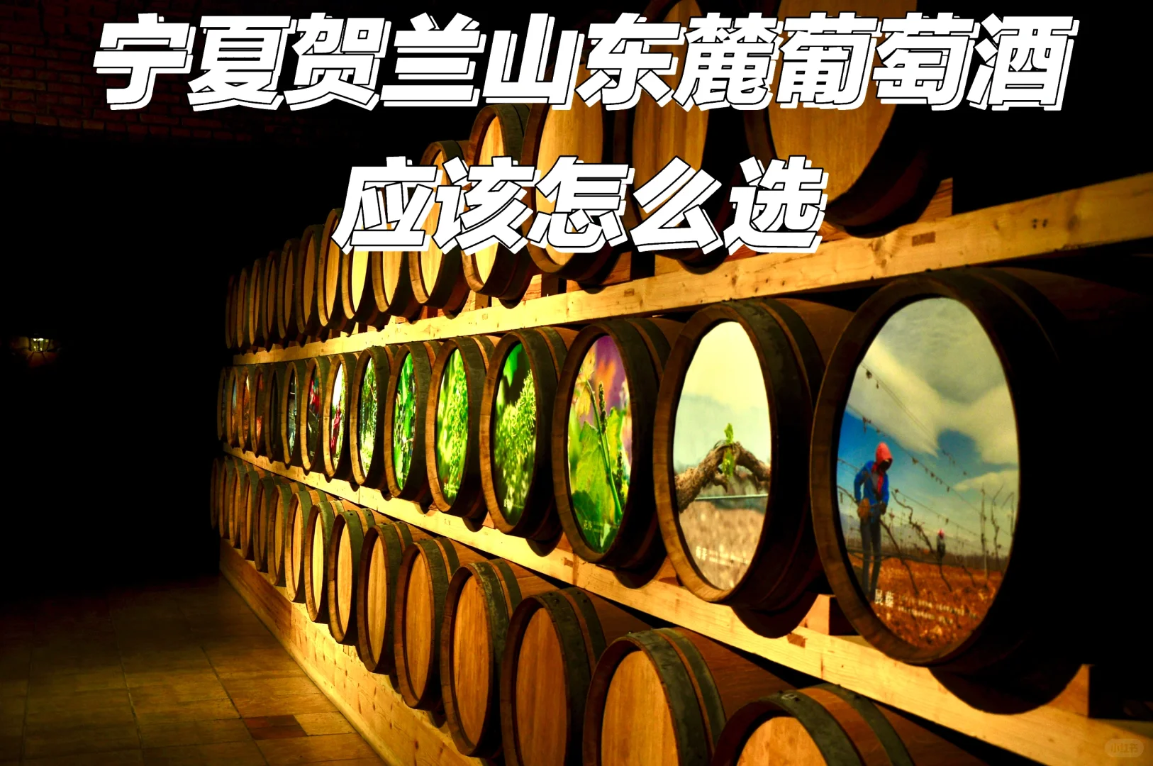 宁夏赤霞珠葡萄酒怎么选（300-500元价格）