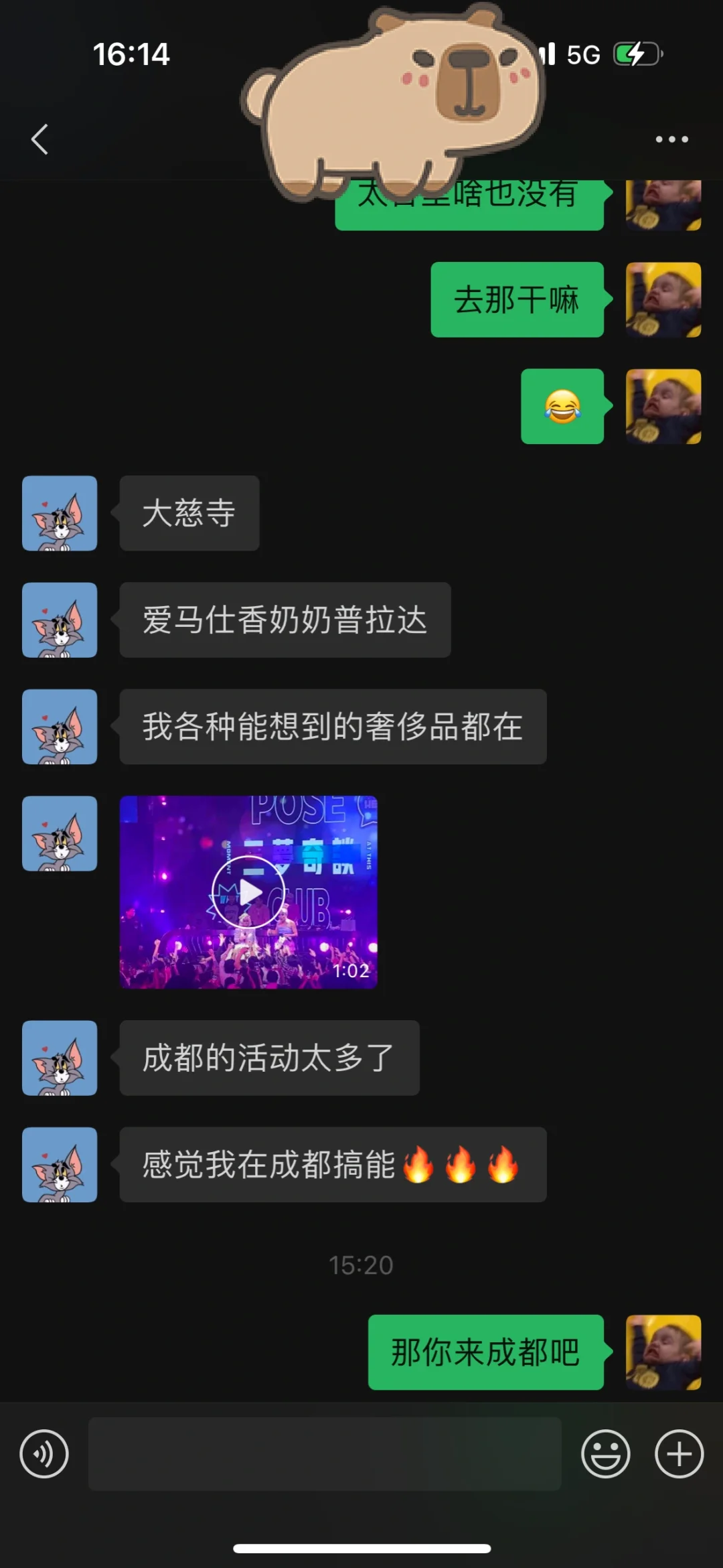 重生之985城市规划研究生在重庆当酒保？