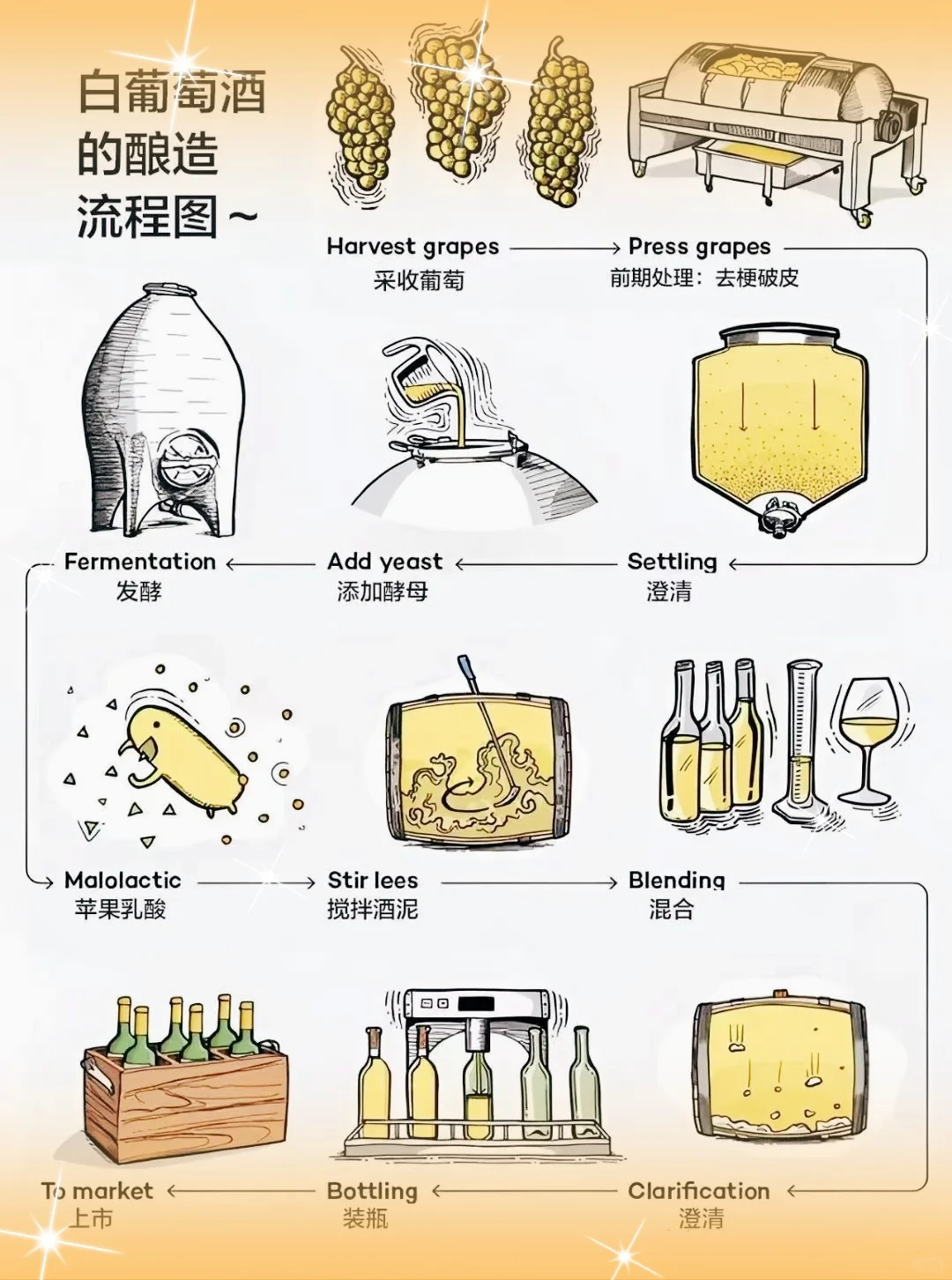 ?收藏版 | 图解葡萄酒是怎么酿造出来的