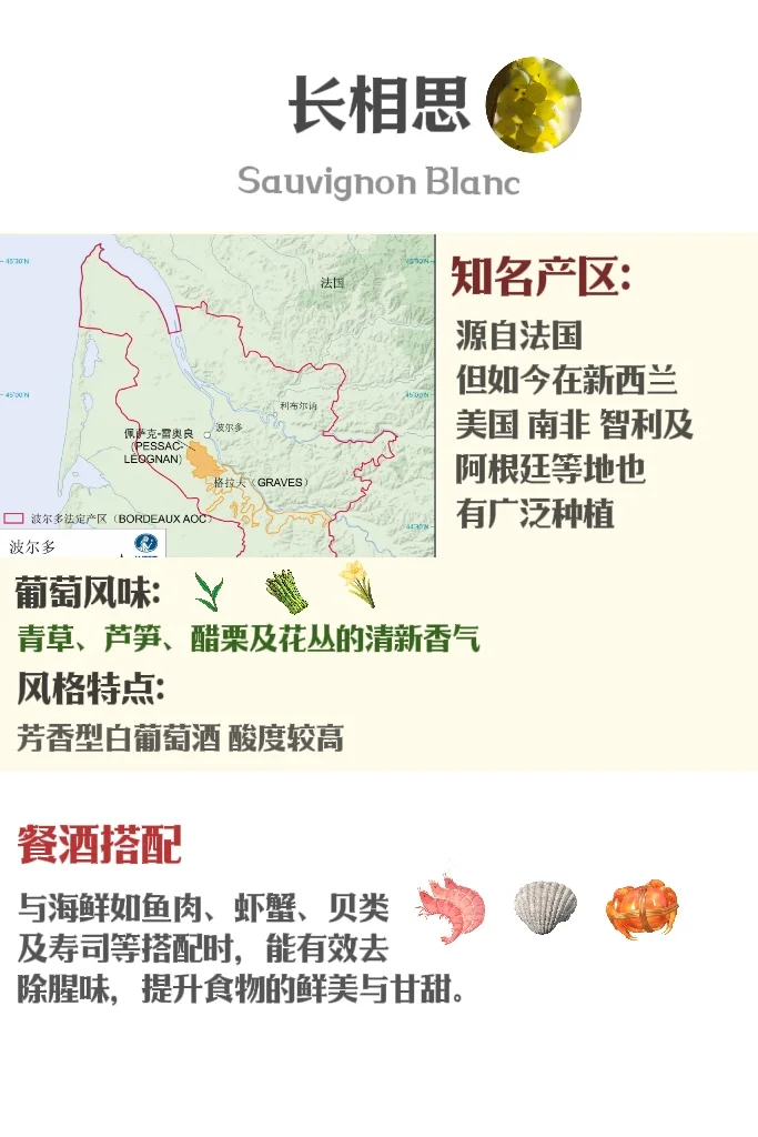 5分钟速通葡萄品种 ?应付99%酒局?