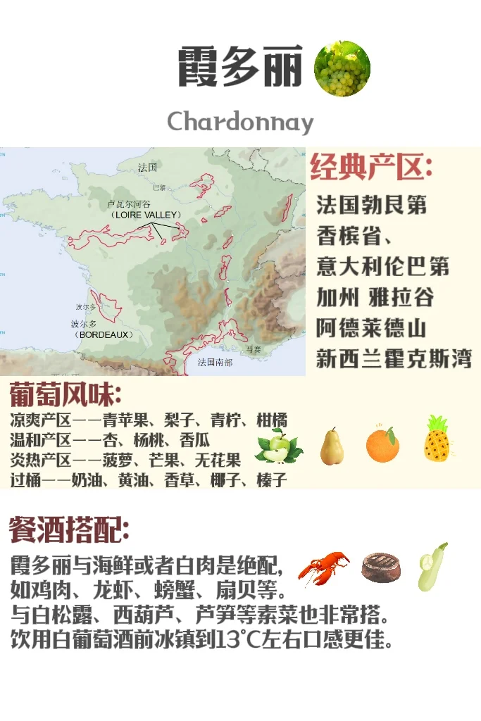 5分钟速通葡萄品种 ?应付99%酒局?