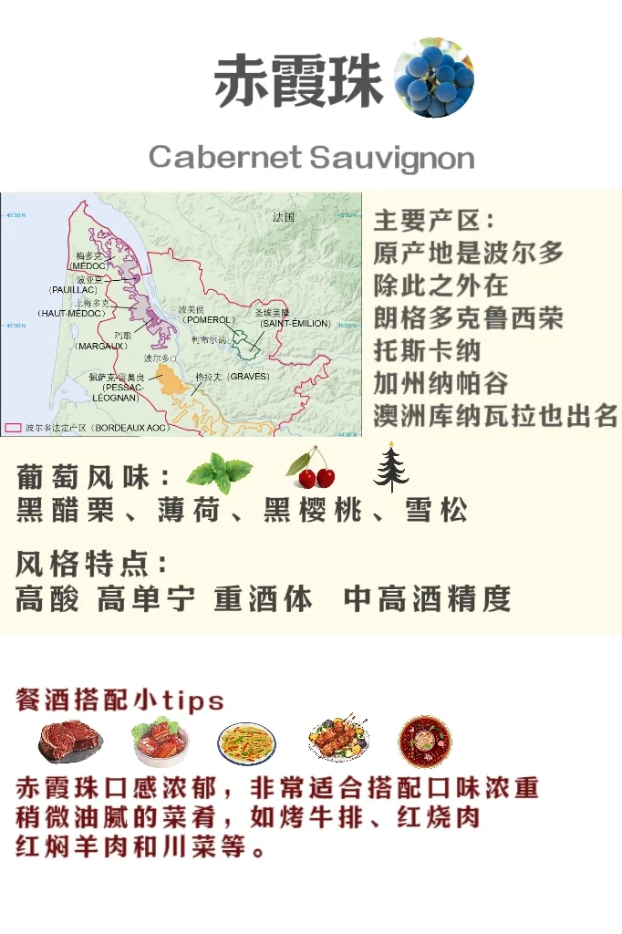5分钟速通葡萄品种 ?应付99%酒局?