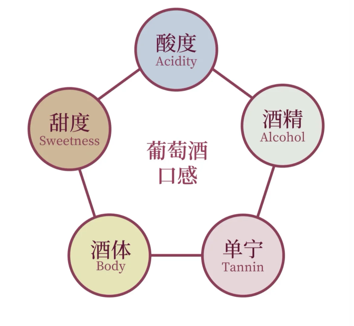 葡萄酒口感，你真的懂吗？
