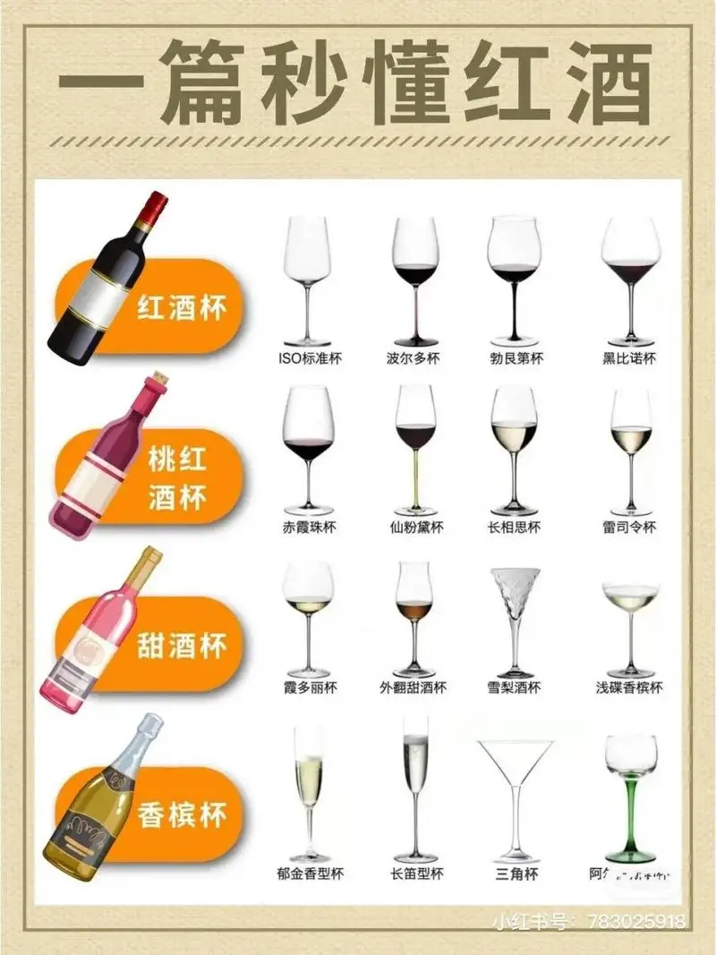 葡萄酒饮用指南|品味佳酿的秘诀